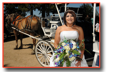 Bride arrives in her carriage where her beach wedding occurs