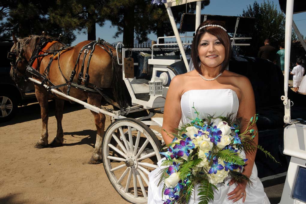 Bride standing next to the carriage with the horse in the background.