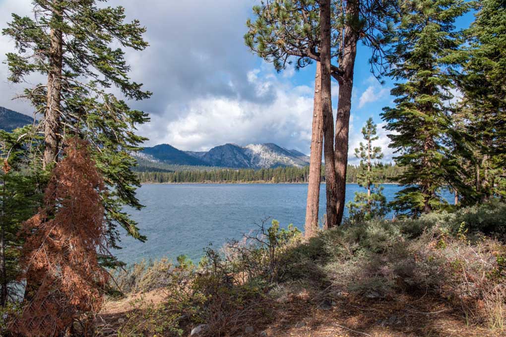A forested view with Mount Tallac in the background.