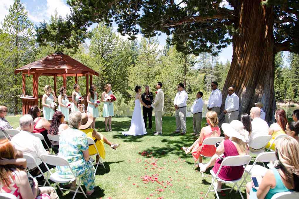 Wedding in progress with a large bridal party in front of a gazebo and tree with onlooking guests.