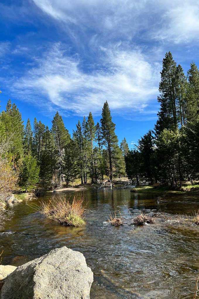 Beautiful scenic view of the Upper Truckee River and forested area.