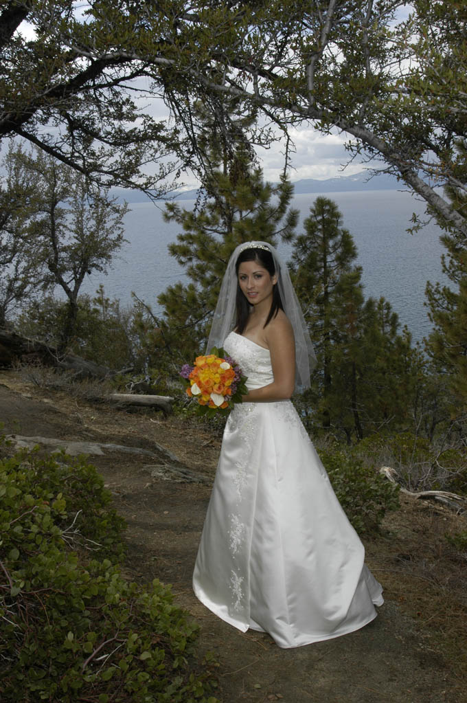 Bride standing alone in her beautiful wedding dress under the arched trees.