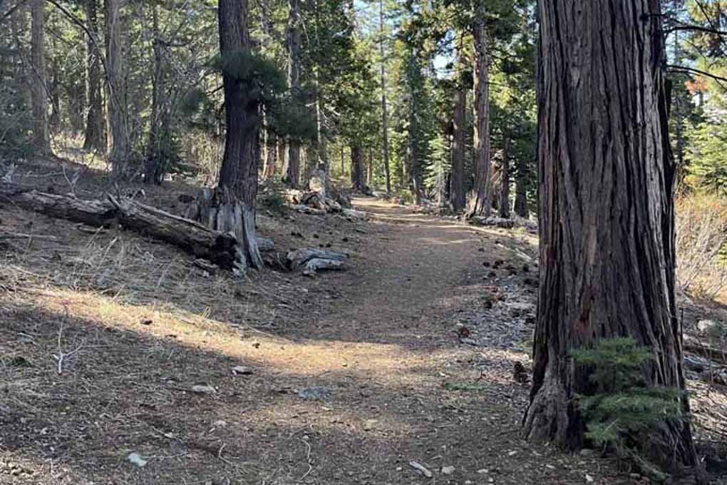 Hiking trail that leads to the lake-