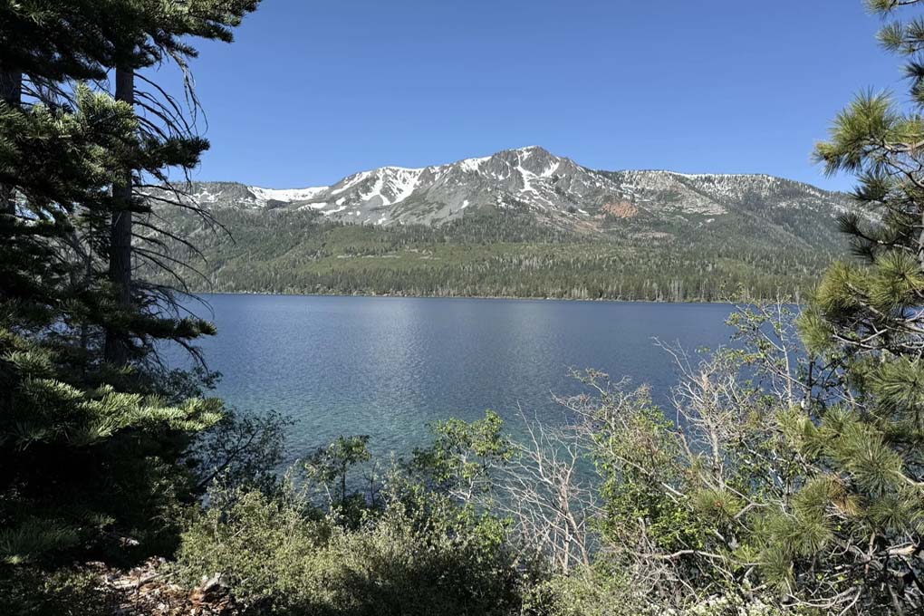 Forested and shrub scene with mountains and lake.