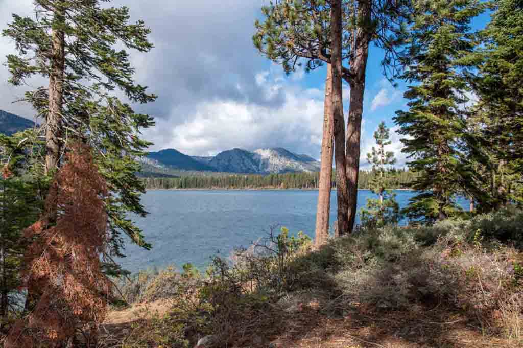 Beautiful scenic view of Fallen Leaf Lake through forest trees.