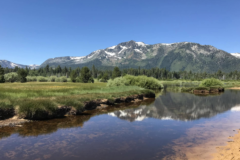 Beautiful nature photo with mountain background.